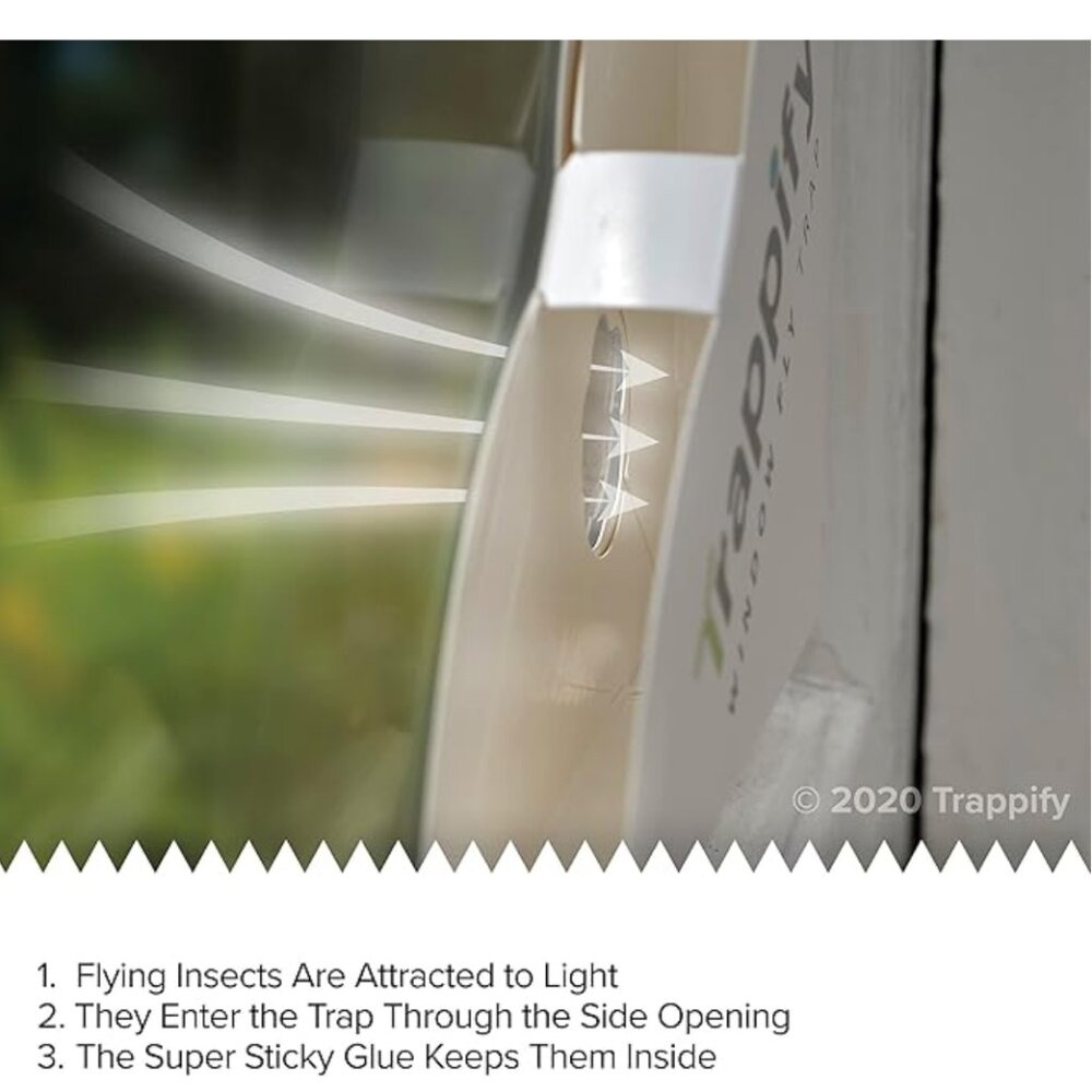 Trappify Window‎ Fly Traps - Picture 3 of 7